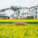 黄山旅游 缩略图 2