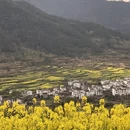 黄山旅游 缩略图 2