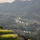 黄山旅游 缩略图 3