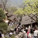 黄山旅游 缩略图 10