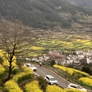 黄山旅游 缩略图 1