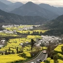 黄山旅游 缩略图 5