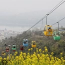 黄山旅游 缩略图 2