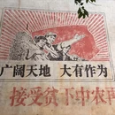 黄山旅游 缩略图 8