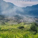 黄山旅游 缩略图 4