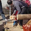 上饶旅游 缩略图 8