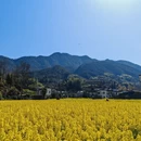 上饶旅游 缩略图 7