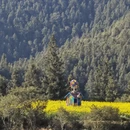 上饶旅游 缩略图 6
