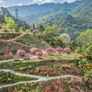 黄山旅游 缩略图 5