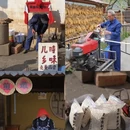 黄山旅游 缩略图 3