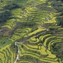 黄山旅游 缩略图 7