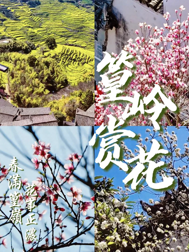 黄山旅游
