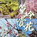 黄山旅游 缩略图 1