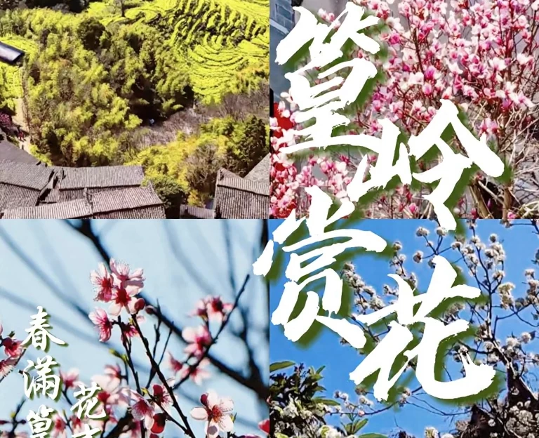 黄山旅游 1