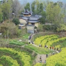 黄山旅游 缩略图 6