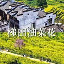 黄山旅游 缩略图 3