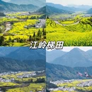 黄山旅游 缩略图 3