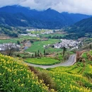 黄山旅游 缩略图 5