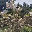 上饶旅游 缩略图 4