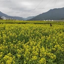 上饶旅游 缩略图 5