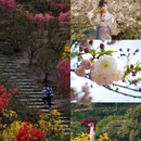上饶旅游 缩略图 3