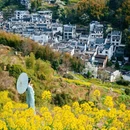 黄山旅游 缩略图 1