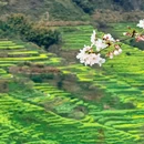 上饶旅游 缩略图 1
