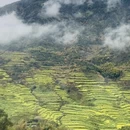 黄山旅游 缩略图 1