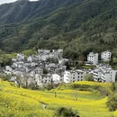 黄山旅游 缩略图 3