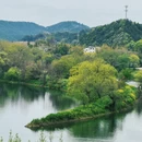 黄山旅游 缩略图 7