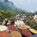 黄山旅游 缩略图 18