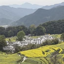 黄山旅游 缩略图 4