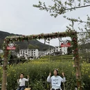 黄山旅游 缩略图 5