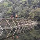 黄山旅游 缩略图 9
