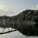 黄山旅游 缩略图 18