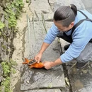 黄山旅游 缩略图 1
