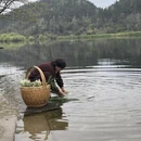 黄山旅游 缩略图 10