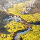 黄山旅游 缩略图 2