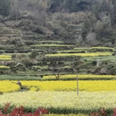 黄山旅游 缩略图 8