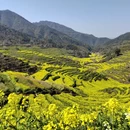 黄山旅游 缩略图 1