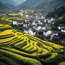 黄山旅游 缩略图 3