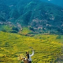 黄山旅游 缩略图 1
