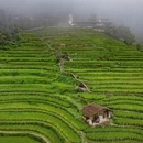 黄山旅游 缩略图 3