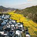 黄山旅游 缩略图 5