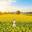 黄山旅游 缩略图 4