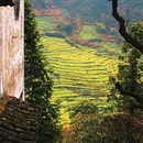 黄山旅游 缩略图 3