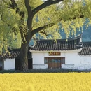 上饶旅游 缩略图 3