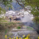 黄山旅游 缩略图 4