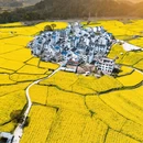 黄山旅游 缩略图 1
