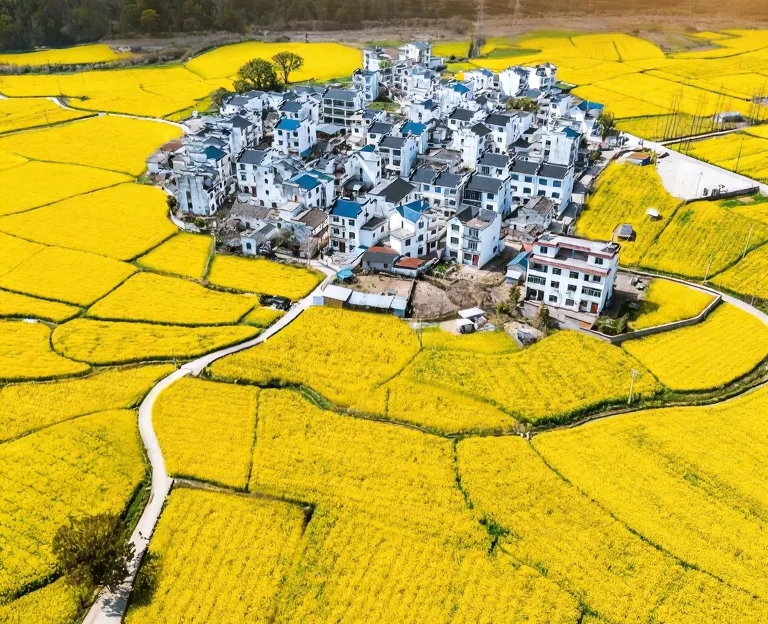 黄山旅游 1